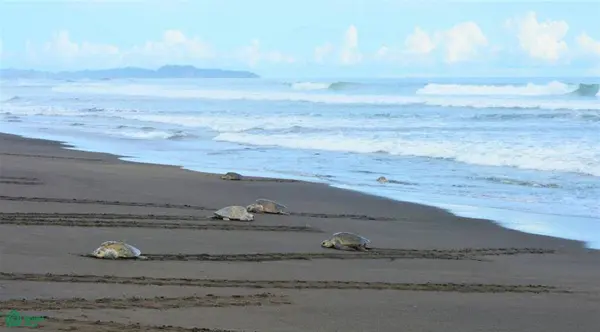 La Reserva Lot 24, 50903