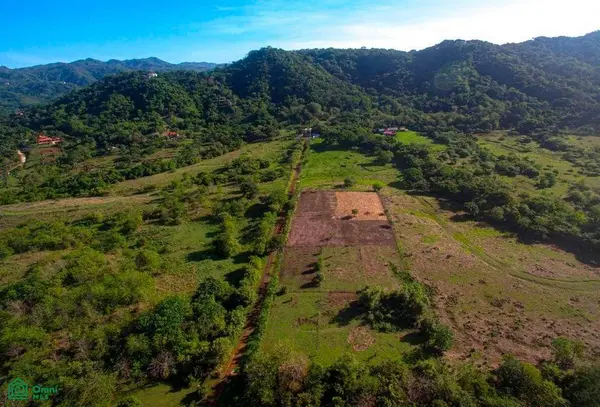 La Reserva Lot 24, 50903