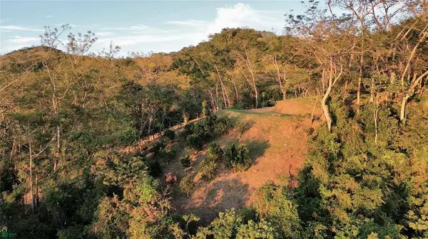 Nada Finca Naranjalito, 50205