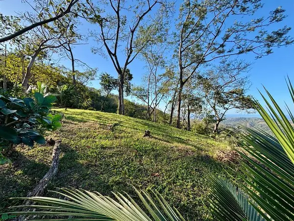 Nada Finca Naranjalito, 50205