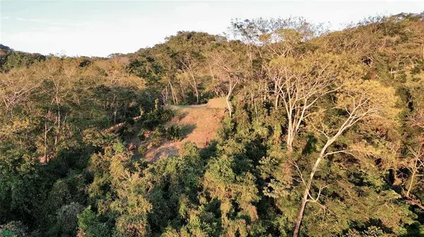 Nada Finca Naranjalito, 50205