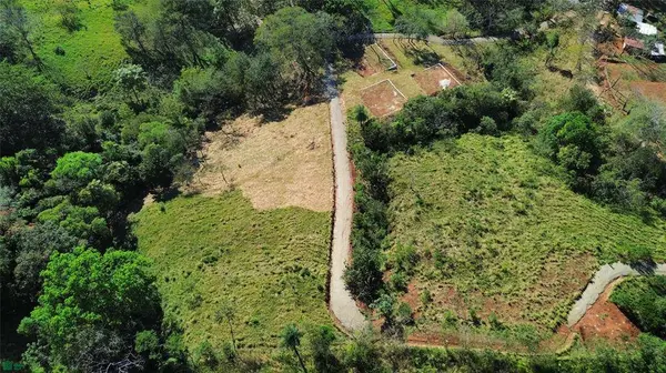 Finca Martine, 50207