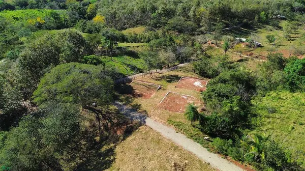 Finca Martine, 50207