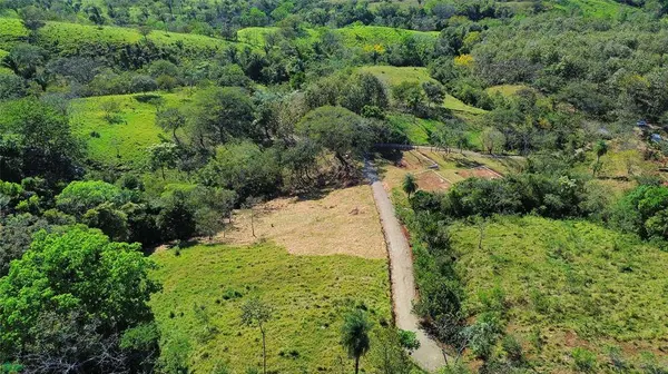 Finca Martine, 50207