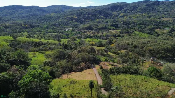 Finca Martine, 50207