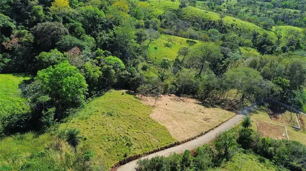 Finca Martine, 50207