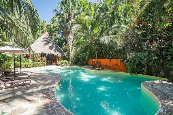 Gecko Verde Hotel, 50205