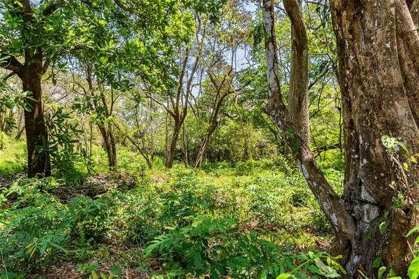Finca Sueño del Mar | 16 Acres, Samara, Guanacaste 50205