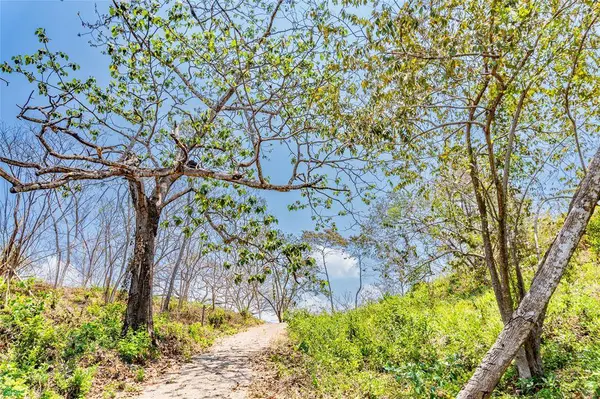 Finca Sueño del Mar | 16 Acres, Samara, Guanacaste 50205