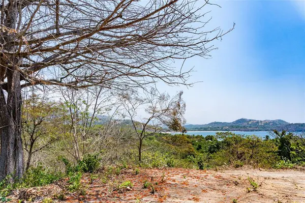Finca Sueño del Mar | 16 Acres, Samara, Guanacaste 50205