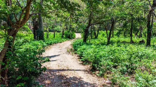 Finca Sueño del Mar | 16 Acres, Samara, Guanacaste 50205