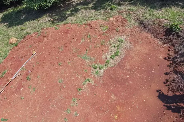 Finca Coco Nico, Belen De Nosarita, Guanacaste 50207