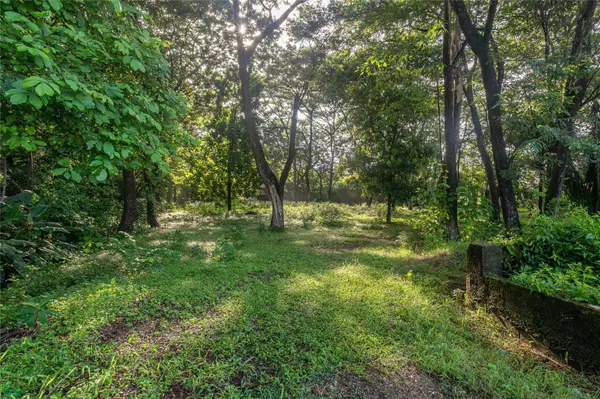 Central Samara 5,000m² Lot, Samara, Guanacaste 50205