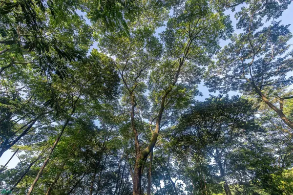 Central Samara 5,000m² Lot, Samara, Guanacaste 50205