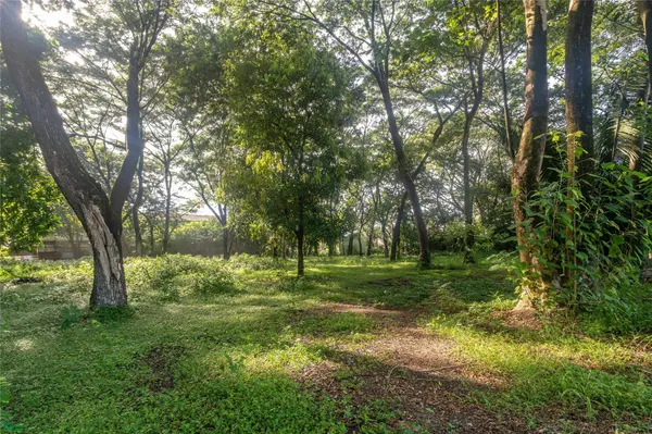 Central Samara 5,000m² Lot, Samara, Guanacaste 50205