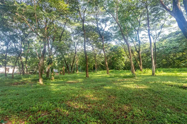 Central Samara 5,000m² Lot, Samara, Guanacaste 50205