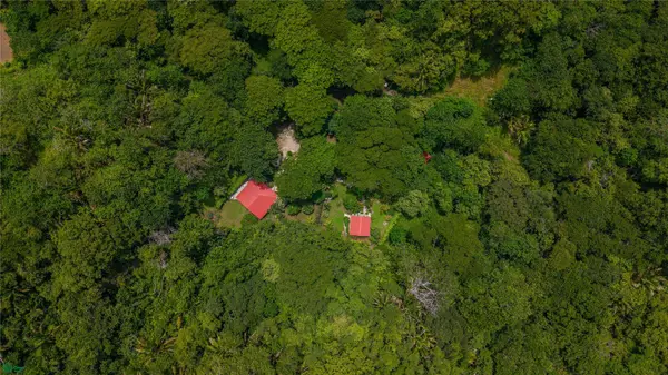 Barrigona Dreams, Samara, Guanacaste 50205