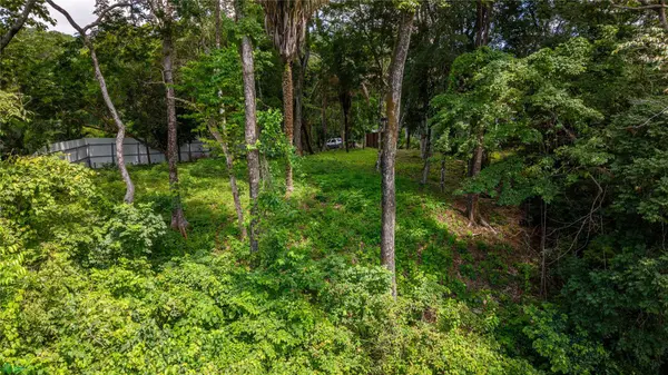 Montana 34 Lote, Samara, Guanacaste 50205