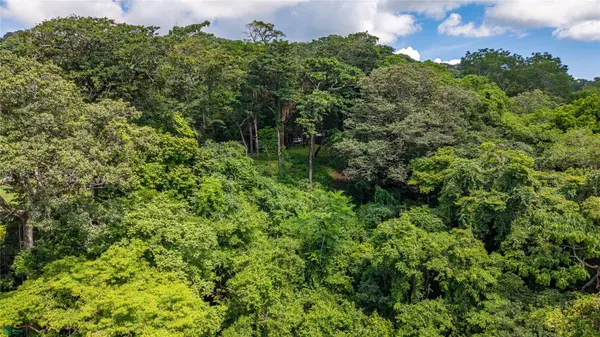 Montana 34 Lote, Samara, Guanacaste 50205