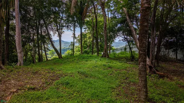 Montana 34 Lote, Samara, Guanacaste 50205