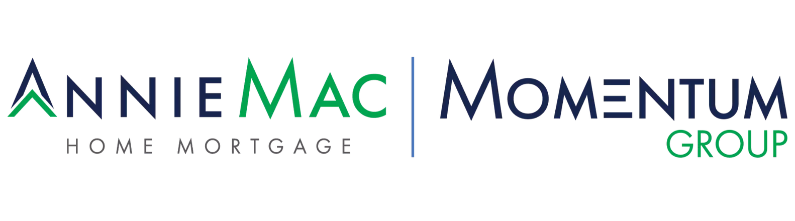 Momentum Group Logo HORZ 4C (1)
