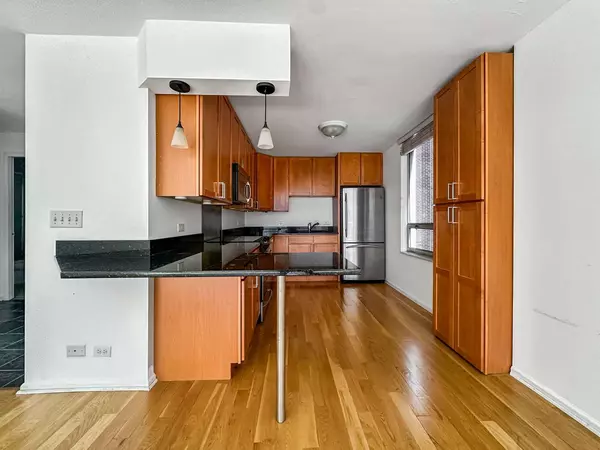 201 E Chestnut ST #11F, Chicago, IL 60611