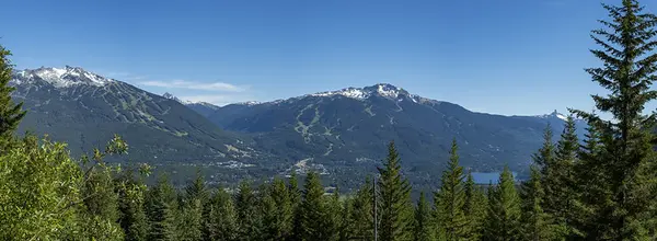 feature image of Whistler 2026 Market Update
