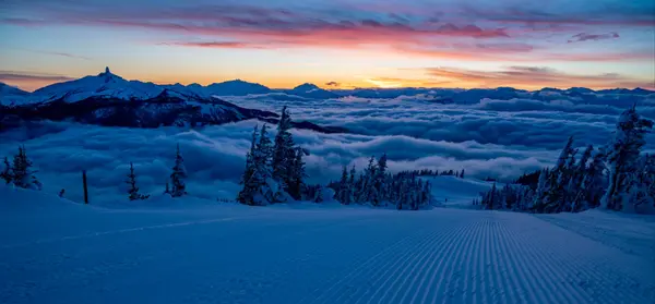 Alpine Corduroy