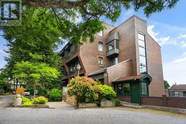 135 Springfield RD #5