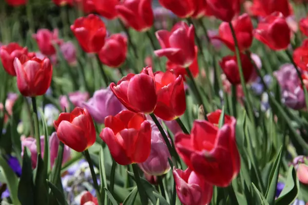 Don't Miss the Spring Real Estate Surge: What It Means for Sellers