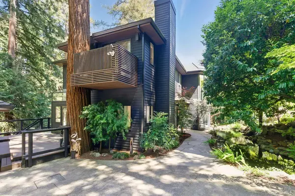 119 Marguerite AVE, Mill Valley, CA 94941