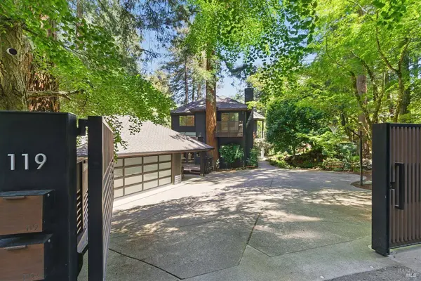 119 Marguerite AVE, Mill Valley, CA 94941