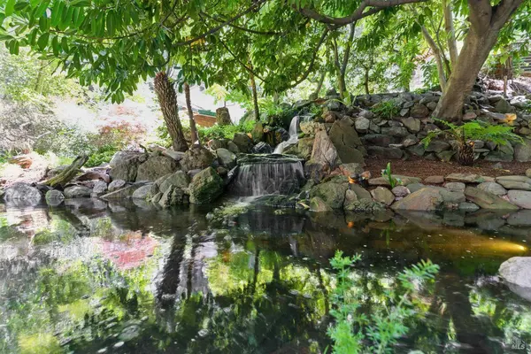 119 Marguerite AVE, Mill Valley, CA 94941