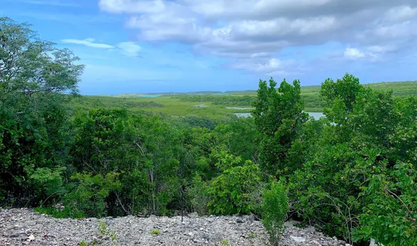 SEYMOUR'S HILLTOP SEAVIEW Long Island,