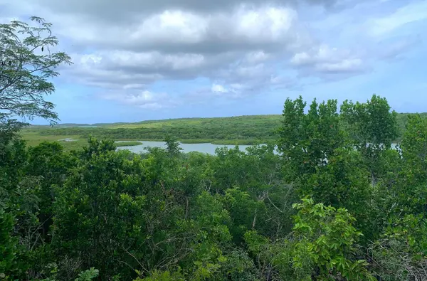SEYMOUR'S HILLTOP SEAVIEW Long Island,