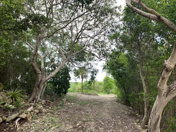 SEYMOUR'S HILLTOP SEAVIEW Long Island,