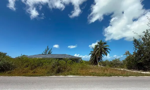 MANGROVE BUSH SEASIDE HOM Long Island
