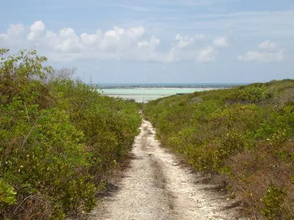 PETTY'S - 4.11 ACRE LOT Long Island,