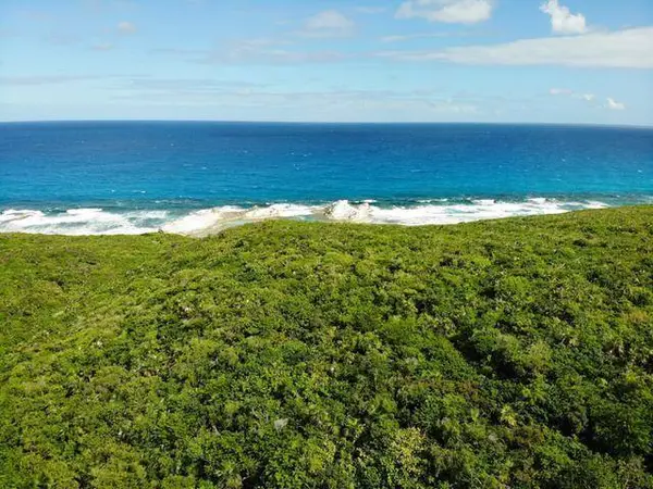 8 ACRE OCEANFRONT PARCEL Long Island,