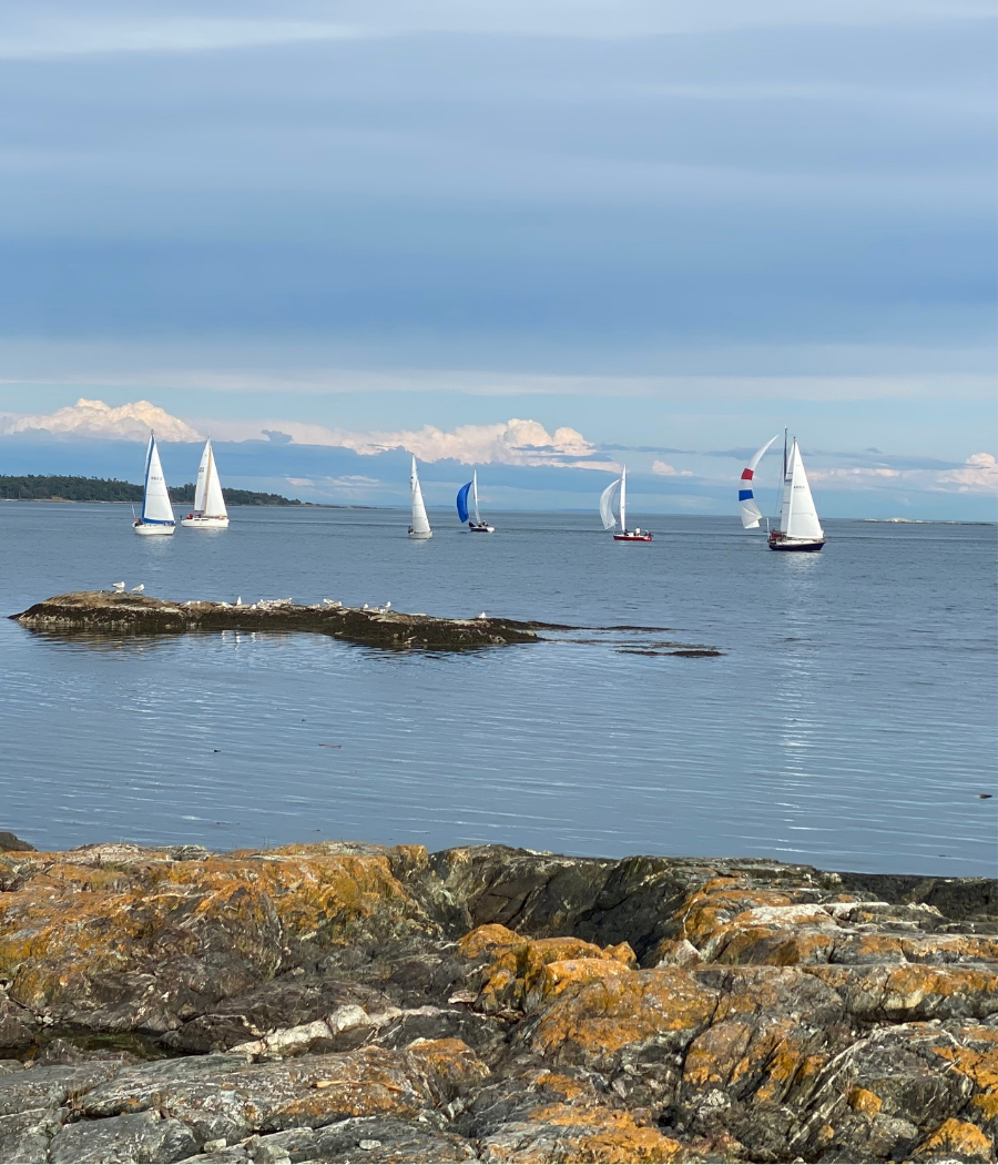 Coastal lifestyle in Greater Victoria with sailboats and waterfront views
