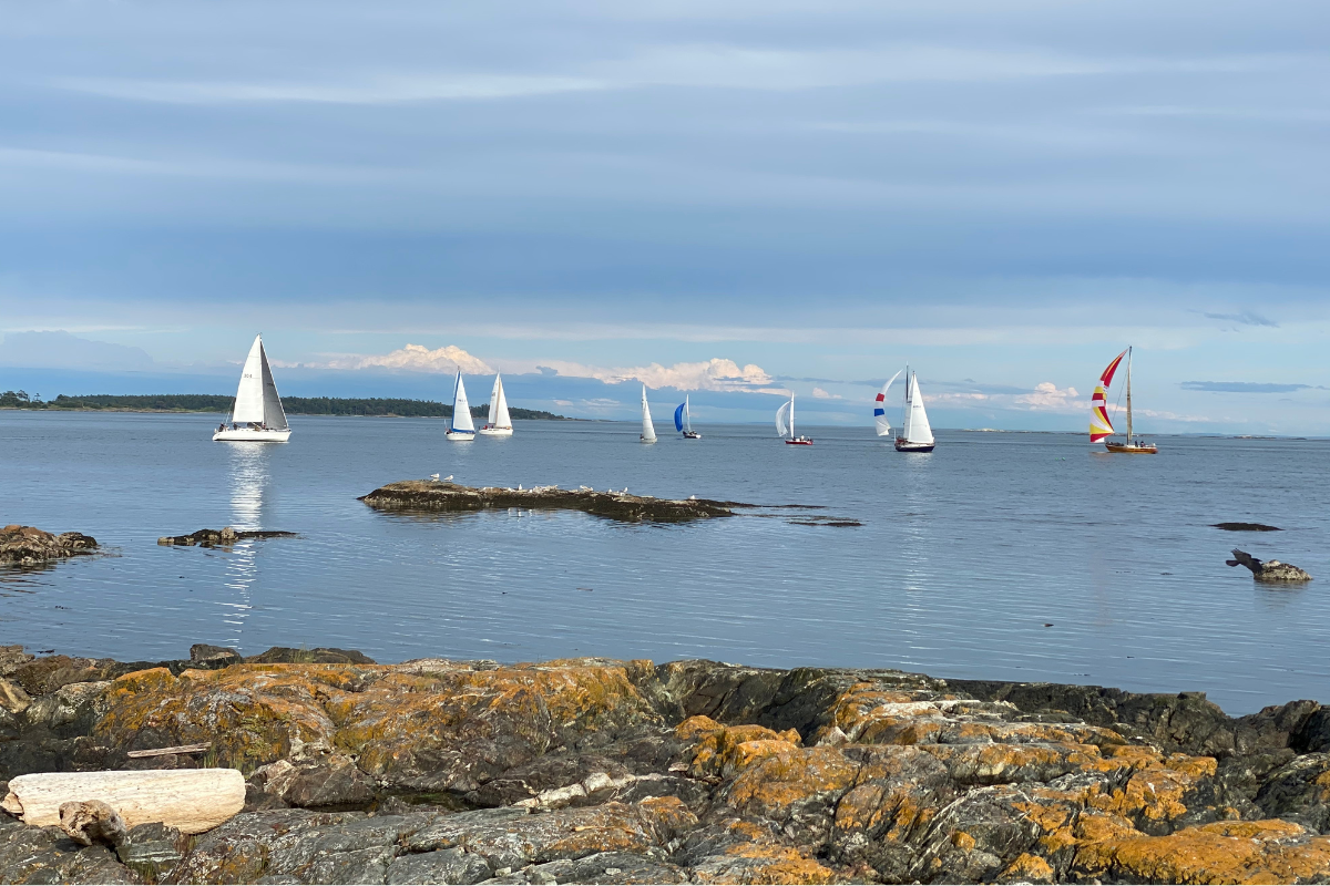 Sailboats on the water in Greater Victoria