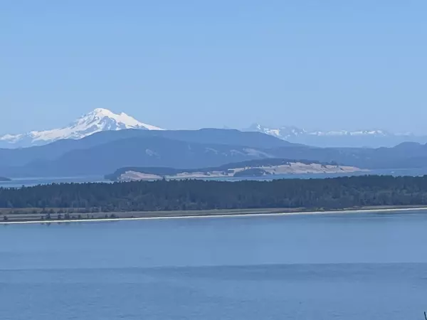 IMG_7371