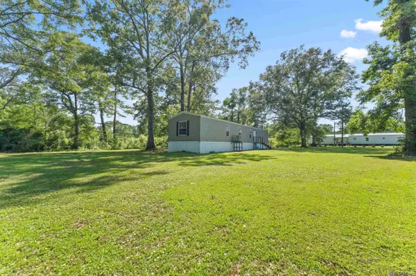 19290 Palmer Rd, Livingston, LA 70754