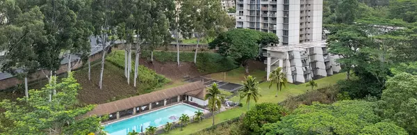 Get to Know the Area: Waikalani Woodlands in Mililani