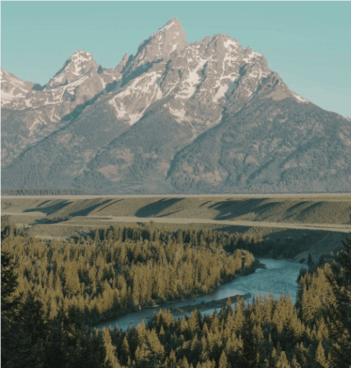 Jackson Hole Real Estate