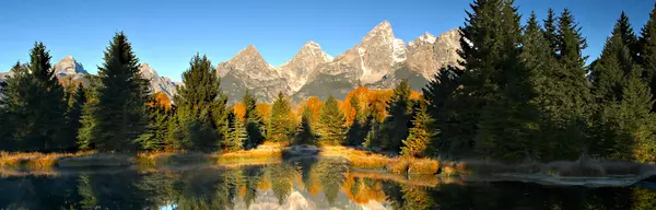 Newest Market Trends, Factors Shaping Prices & Inventory & Looking for A Clear Outlook ,Jim Hickey