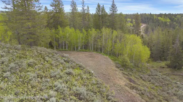 1530 POTPOURRI Drive, Ashton, ID 83420