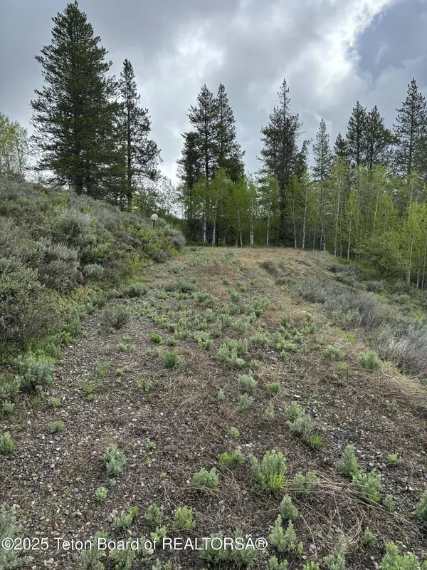 1530 POTPOURRI Drive, Ashton, ID 83420