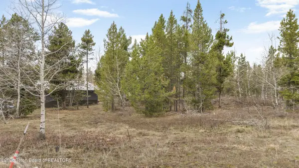 3781 LAVA Lane, Island Park, ID 83429