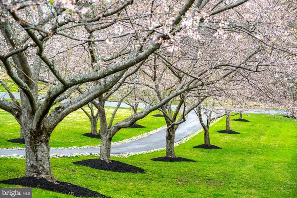 927 HILLTOP RD, Arnold, MD 21012